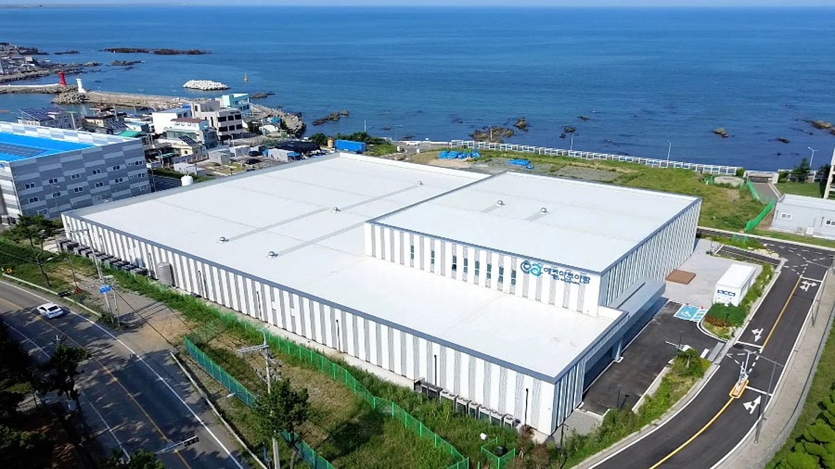 South Korea’s first land-based salmon farm begins operations