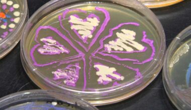 Science lab to showcase unique 'living art' at Artscape