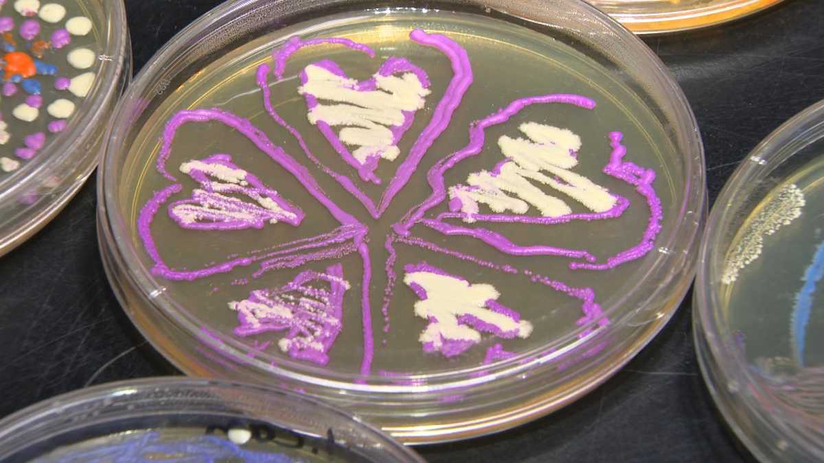Science lab to showcase unique 'living art' at Artscape