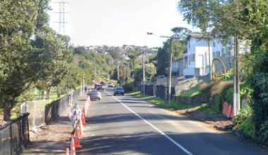 Driver arrested after pellet gun fired at vehicle in Auckland