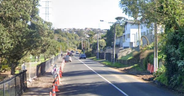 Driver arrested after pellet gun fired at vehicle in Auckland