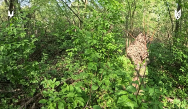 Ukrainian Special Operation Forces destroyed the Russian assault group.