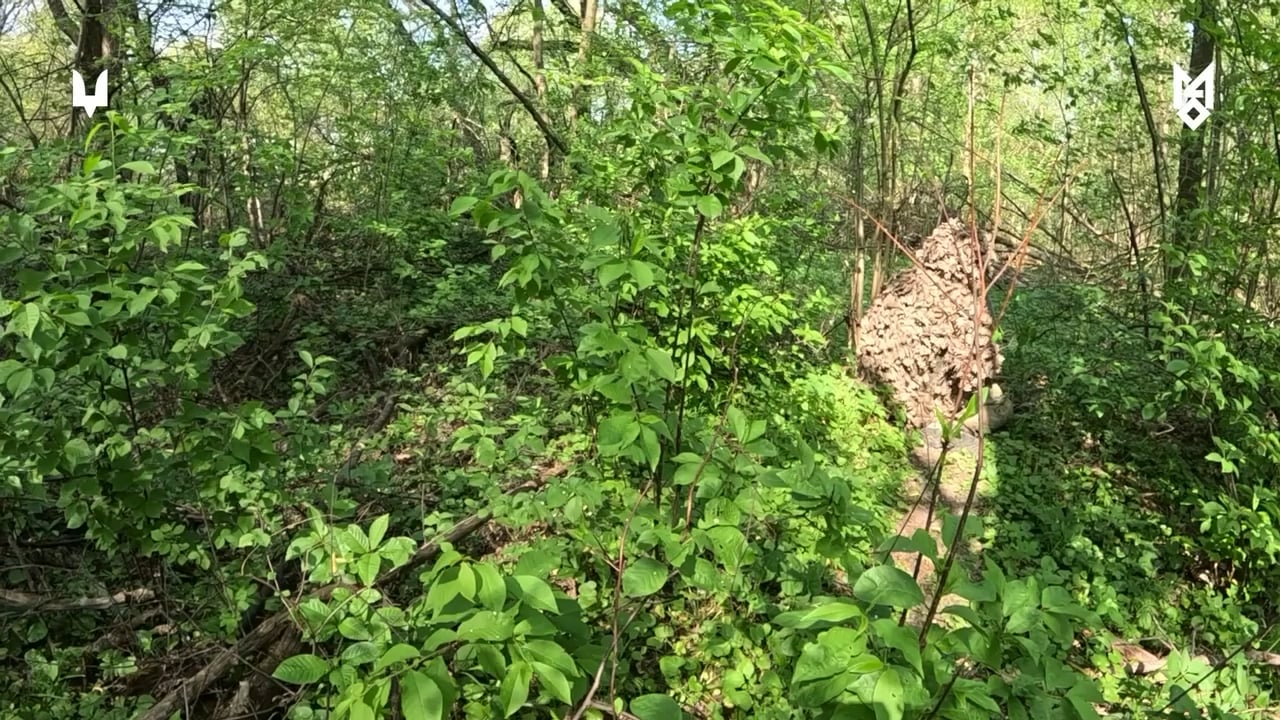 Ukrainian Special Operation Forces destroyed the Russian assault group.