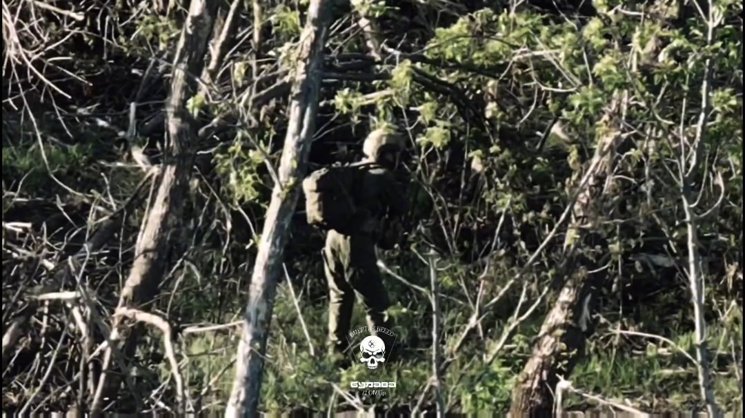 NSFW: Russian soldier tried to evade Ukrainian drone by just standing still. Pokrovsk direction. Bulava unit of the 72nd Mechanized Brigade. May 2025 [Published 23.05.2025]