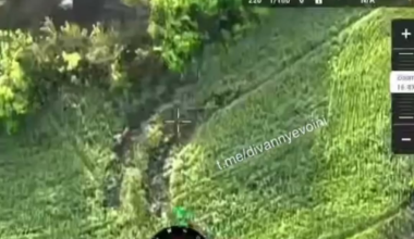 Destroyed M113 and dead crew in Pokrovsky direction.
