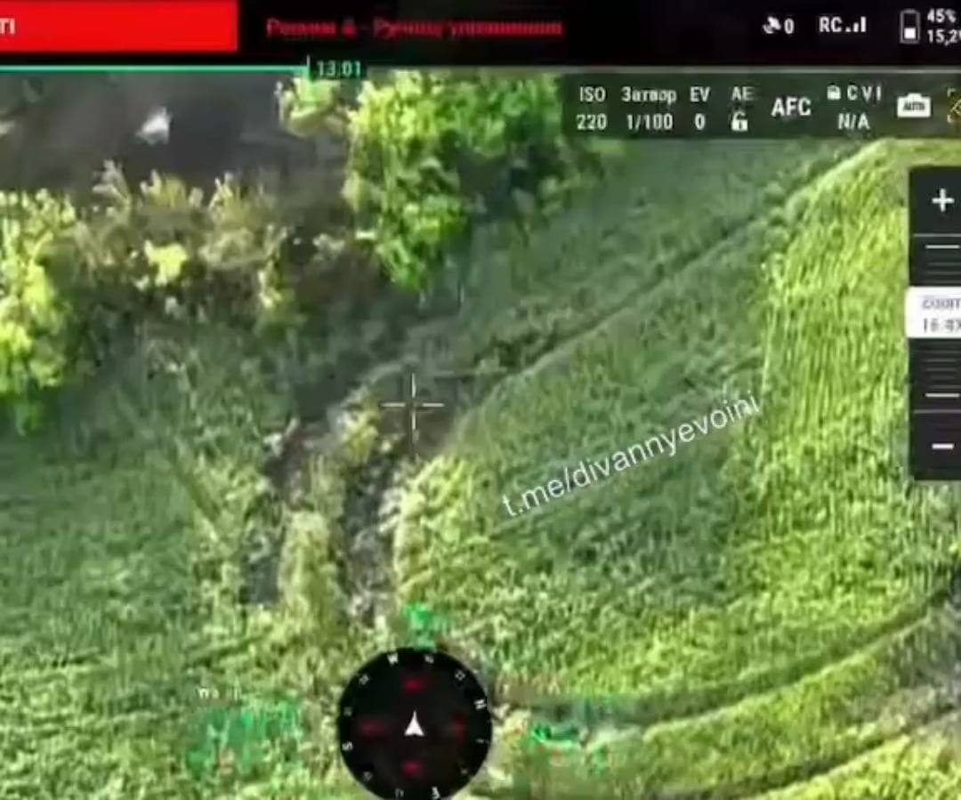 Destroyed M113 and dead crew in Pokrovsky direction.