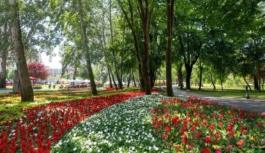 Floraart to transform Zagreb’s Bundek Park into a floral wonderland