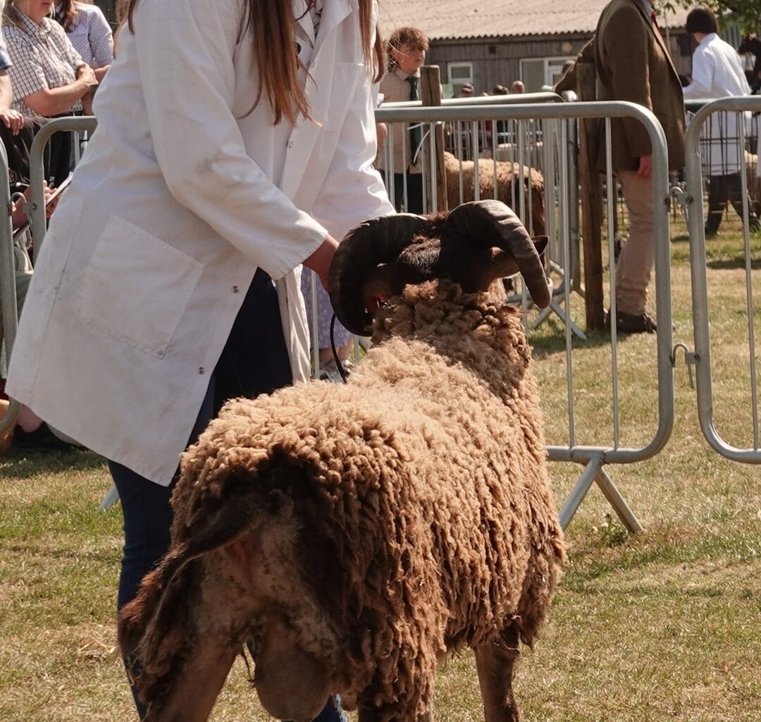 Nottinghamshire County Show