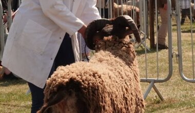 Nottinghamshire County Show
