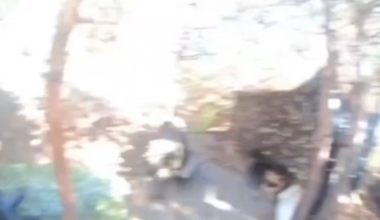POV of Ukrainian soldier notified there's a Russian fibre-optic FPV around, grabs his shotgun and destroys it at close range. Serebryansky forest, Luhansk