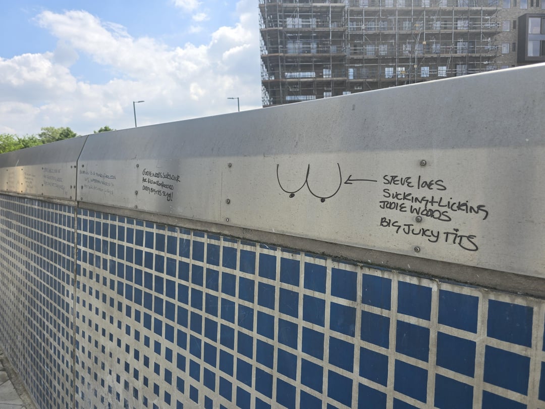Does anyone know who Steve the horny Shakespeare of Stratford is? These are absolutely everywhere in the area for the past few months. Can he become more famous than 10Foot?