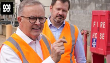 Labor, Greens and the Coalition are carving up the spoils in a Bonfire of the Vanities