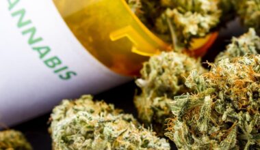 cover Man remanded over 18kg cannabis shipment via Larnaca airport
