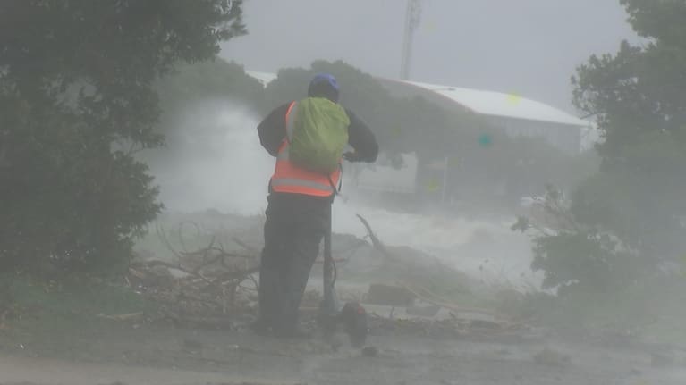 Wellington was hit by severe winds earlier this month.