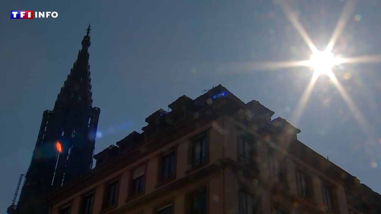 "Agréable et inquiétant" : l'épisode de chaleur précoce qui surprend la France est-il si exceptionnel ?