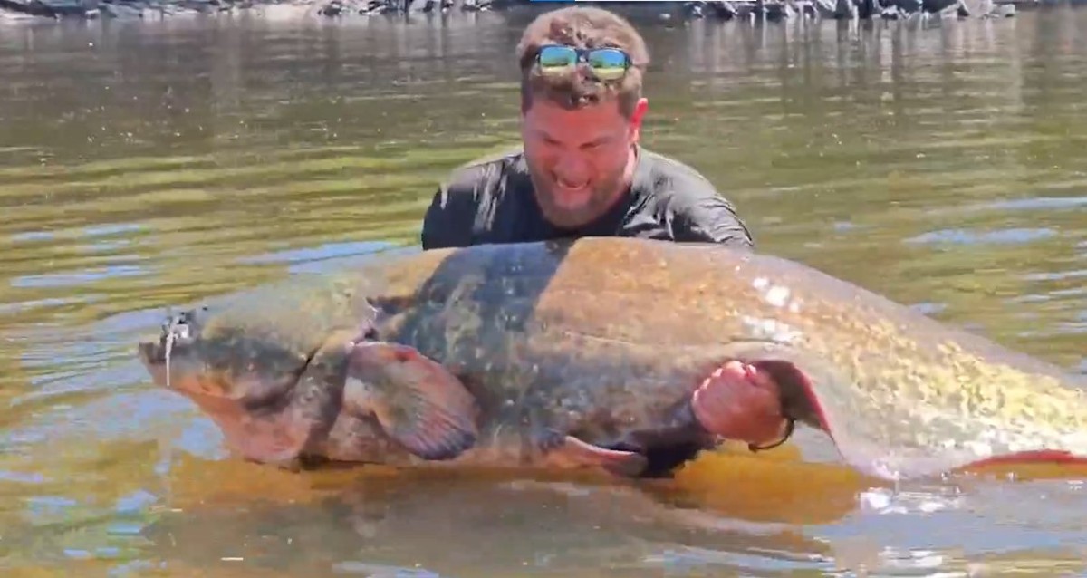 Francês pesca bagre gigante de 102 kg e quebra recorde em Portugal; entenda