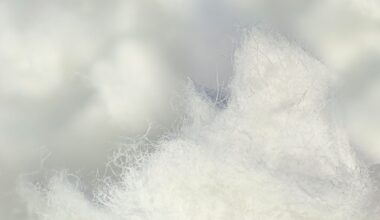 Power Shift in the European Pulp Market