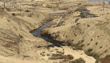 MOL, MVM Partner to Expand Azeri Oil Shipments to Hungary and Slovakia