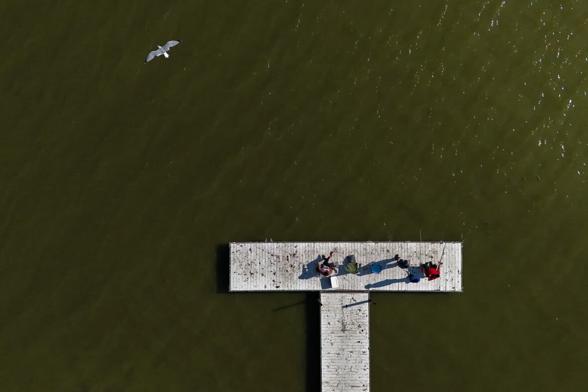 A family fishes in Lake Erie during an algal bloom, Wednesday, Sept. 4, 2024, in Toledo, OH.