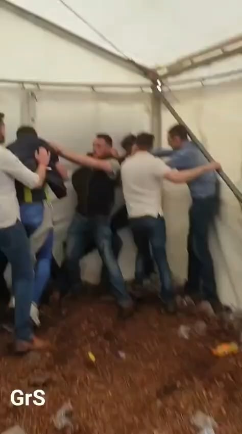 Balmoral Show Boxing