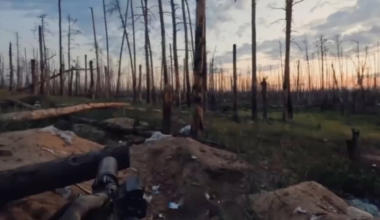 UA SOF fighting in Kreminna Forest, 2024 [Enemy Visible]