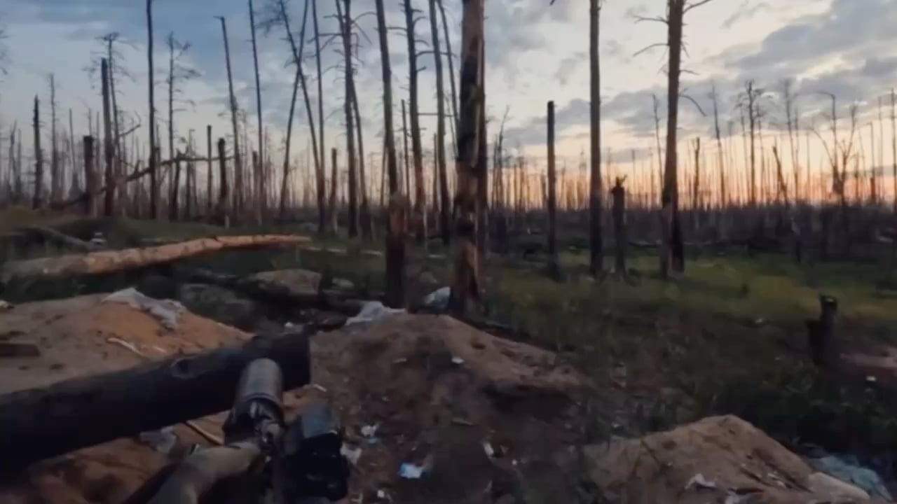 UA SOF fighting in Kreminna Forest, 2024 [Enemy Visible]