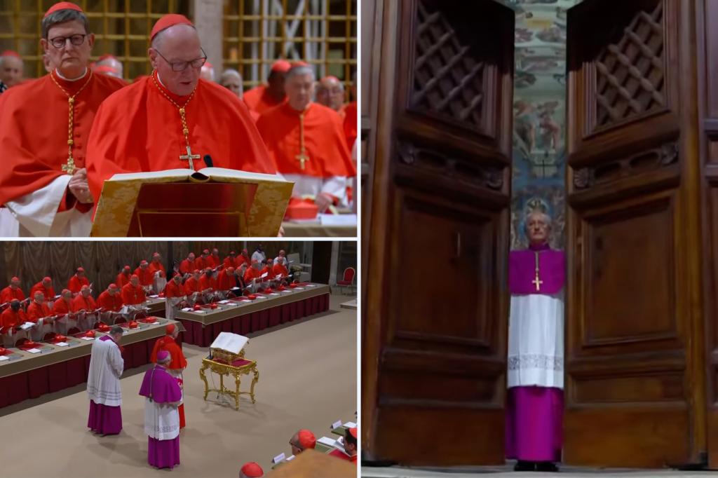 Conclave to elect a new pope begins as 133 Catholic cardinals file into Sistine Chapel