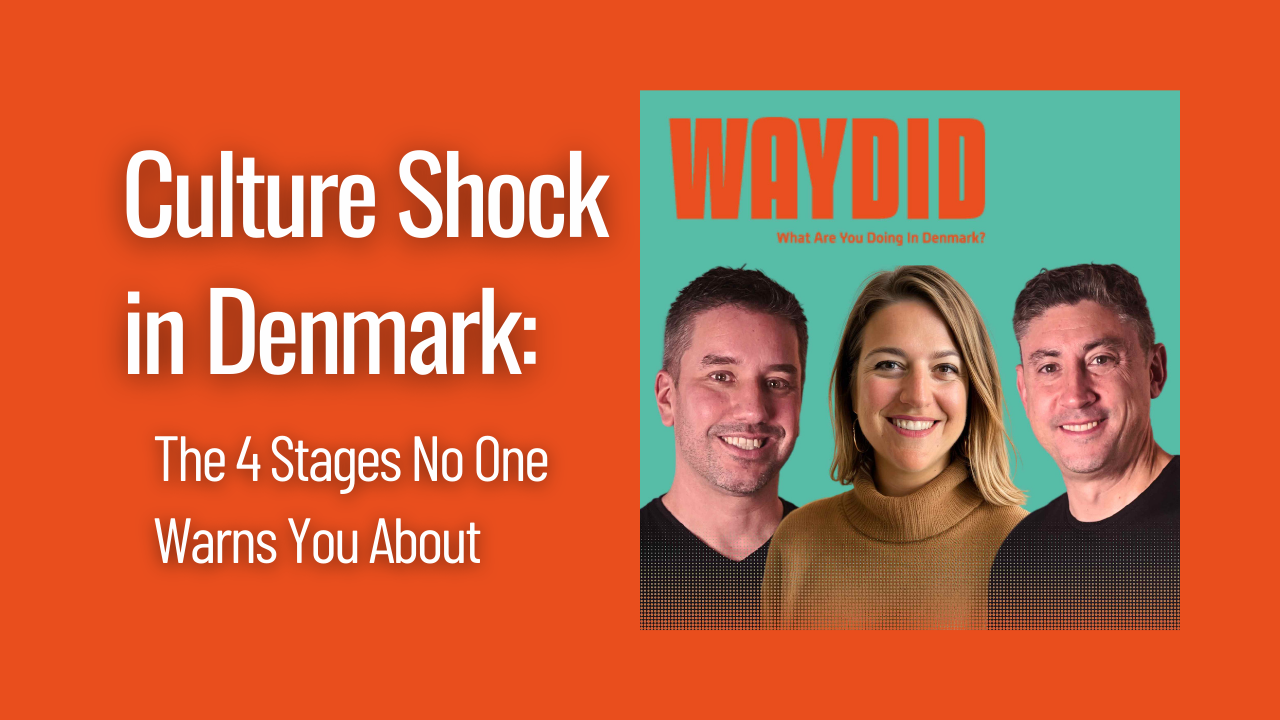 What are you doing in Denmark? Surviving culture shocks