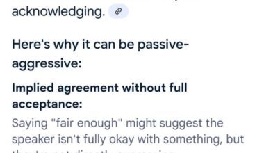 Two ways to interpret the phrase "Fair Enough"