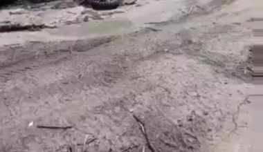 Two Russian soldiers looked through the scattered remains of a failed Russian assault. One of their comrades lays under the tracks of an APC. [NSFW]