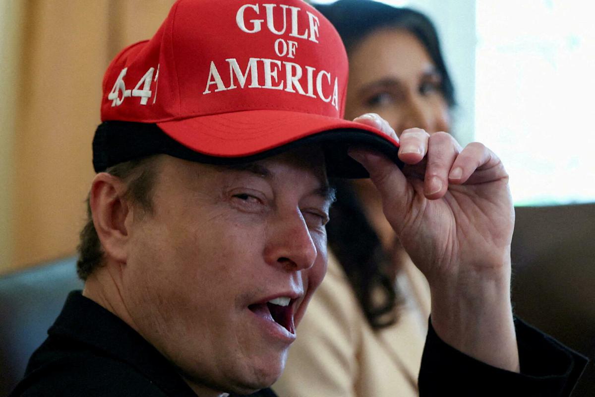 Avec le Doge, Elon Musk en a-t-il eu pour son argent ?