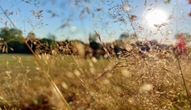 Quarter of Czech land now experiencing extreme drought – what is forecast for summer?