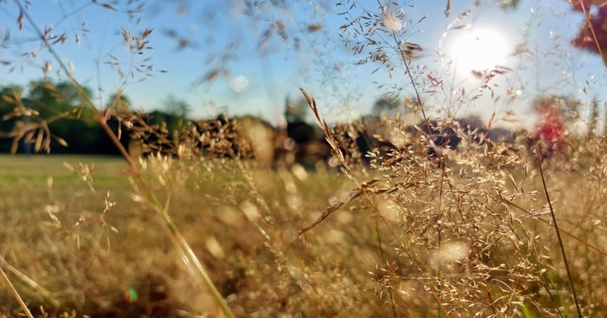 Quarter of Czech land now experiencing extreme drought – what is forecast for summer?