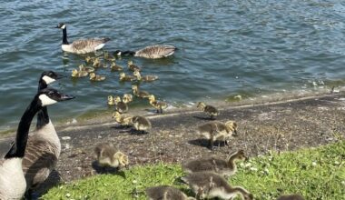 Hab die vorhin im Park gesehen 😭😍