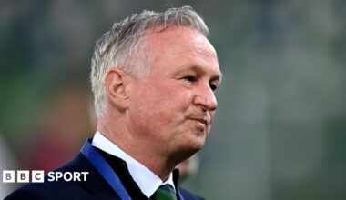 Northern Ireland manager Michael O'Neill