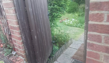 My friend has a 'second' garden in the back of his house.  I love London so much and just wanted to post this magic spot