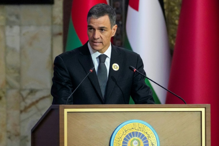 Le Premier ministre espagnol Pedro Sanchez lors du 34e Sommet de la Ligue arabe à Bagdad, le 177 mai 2025 (Hadi Mizban)
