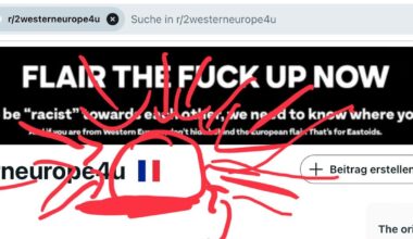Why is the French flag there