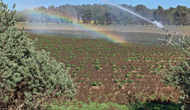 My East Lothian farmland stroll led to me stumbling upon a wee rainbow.
