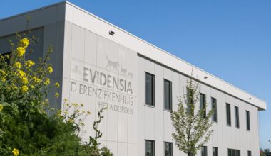 Dierenartsen zijn najagen van hoge omzet bij commerciële keten Evidensia zat, tientallen klinieken dicht door leegloop