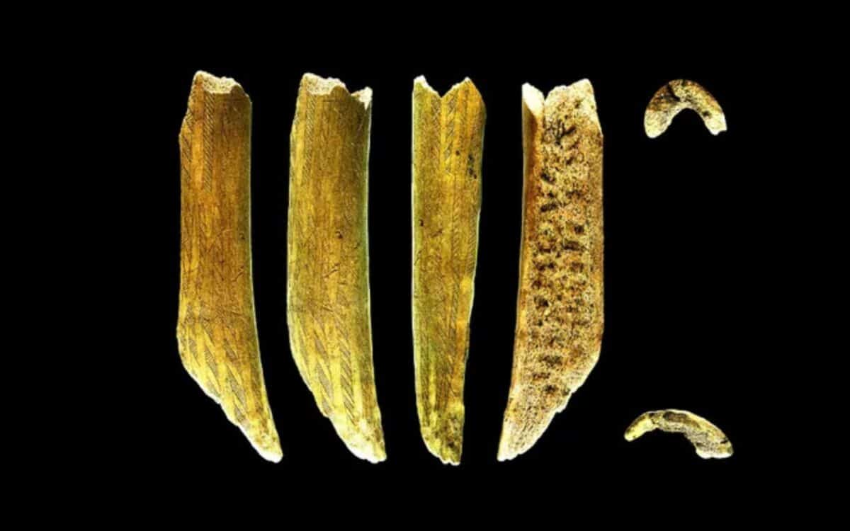 Different Views Of The Richly Decorated Antler From Sweden. Credit Peter Zetterlundnational Historical Museums