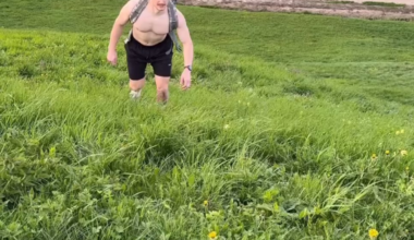 Average dutch or danish "climber"