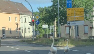 Blockade auf der Bundesstraße am Samstag Morgen