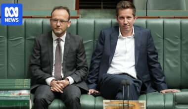 Greens including Adam Bandt at risk of election wipe-out while teals could expand presence