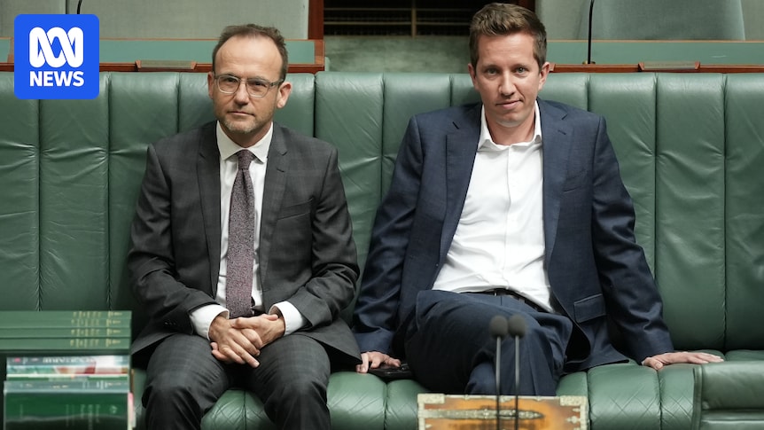 Greens including Adam Bandt at risk of election wipe-out while teals could expand presence