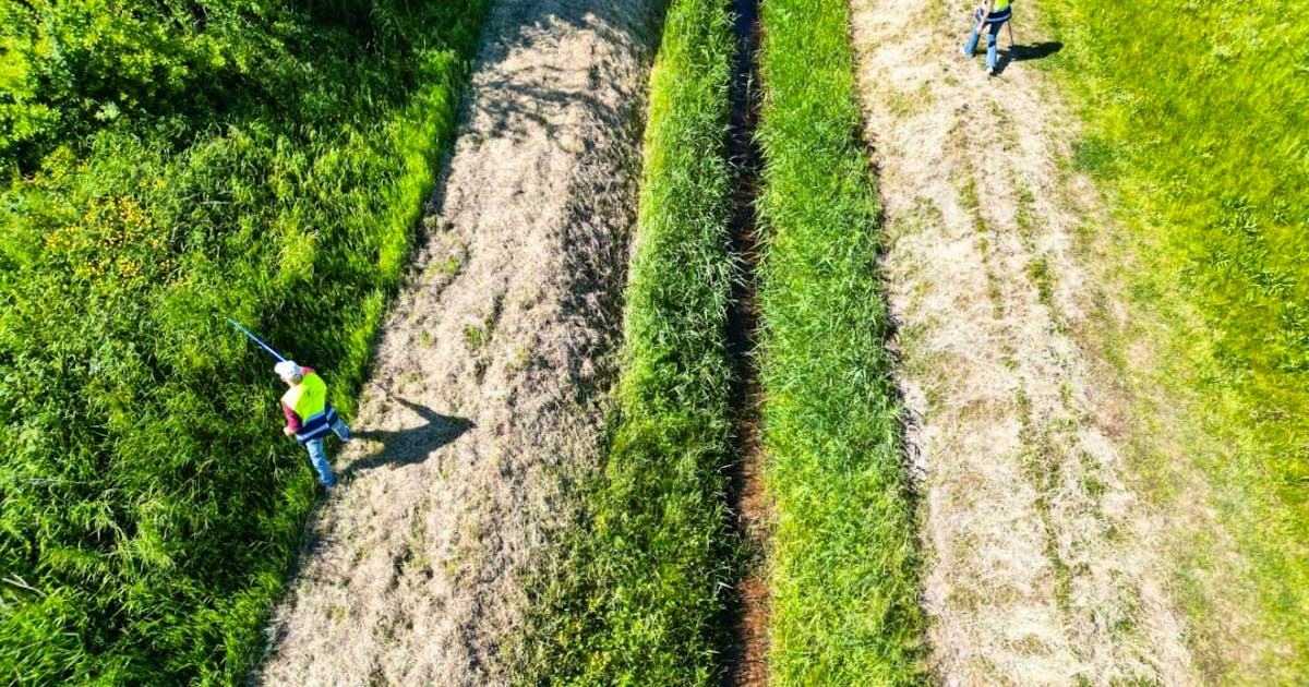 Germany: Netherlands: Bodies found during search for children