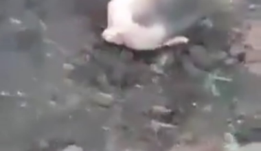 A russian soldier was punished for not wanting to participate in the "meat assault". May 2025