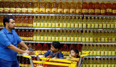 crude, oil, crude oil, economy, SOPA, import, refined oils, edible oil