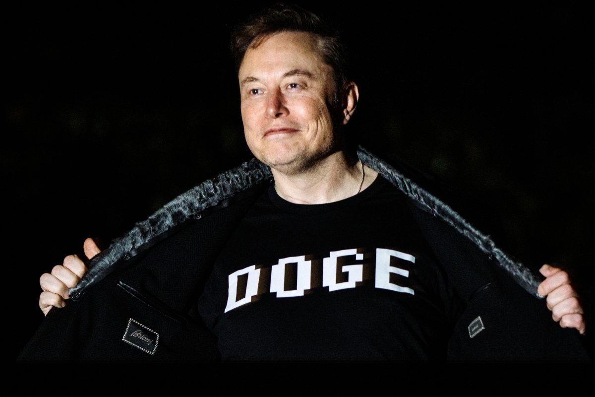 Elon Musk DOGE