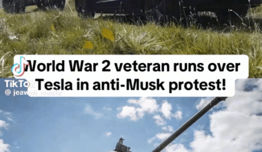 Tank vs. Tesla.🤣🤣🤣